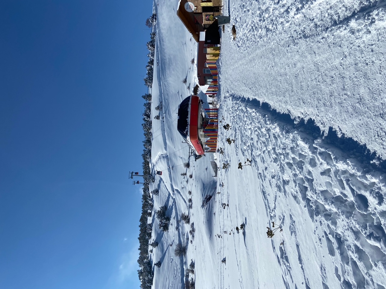 sim:  ergan 2.jpg
Grntleme: 1453
Byklk:  472.0 KB (Kilobyte)